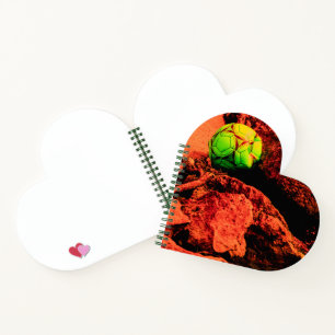 muggenontdekkingsreiziger notitieboek