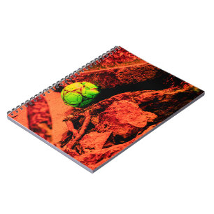 muggenontdekkingsreiziger notitieboek