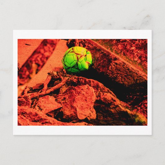 muggenverkenner briefkaart (Voorkant)