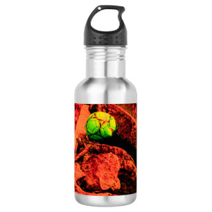 muggenverkenner waterfles
