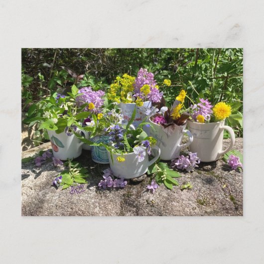 Muggy carte postale été dh2022 (Devant)