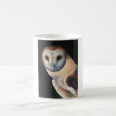 Mugs Barn Owl (Centre)