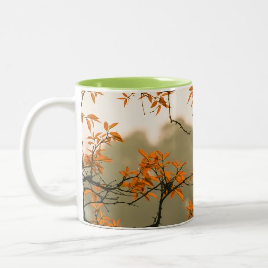 Mugs de conception Outlook (Gauche)