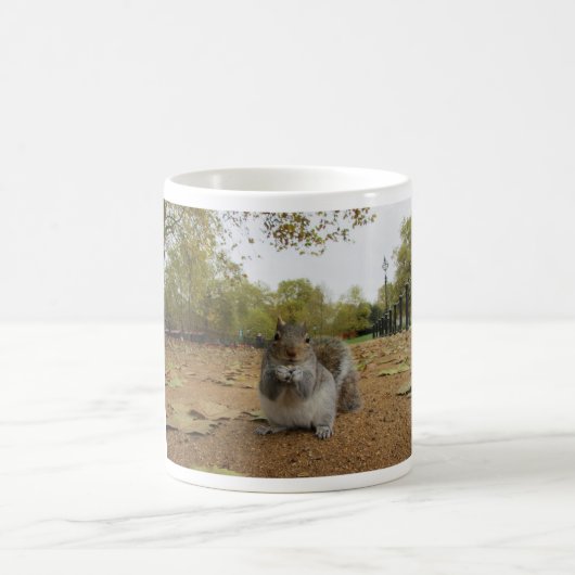 Mugs Grey Squirrel Hyde Park London (Centre)