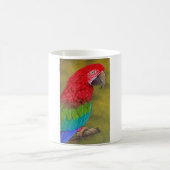 Mugs Macaw (Centre)