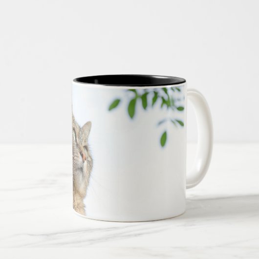 Mugs & Tasses (Devant droit)