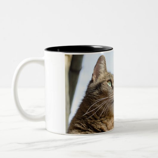 Mugs & Tasses (Gauche)