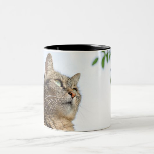 Mugs & Tasses (Centre)