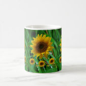 mugs tournesols (Centre)