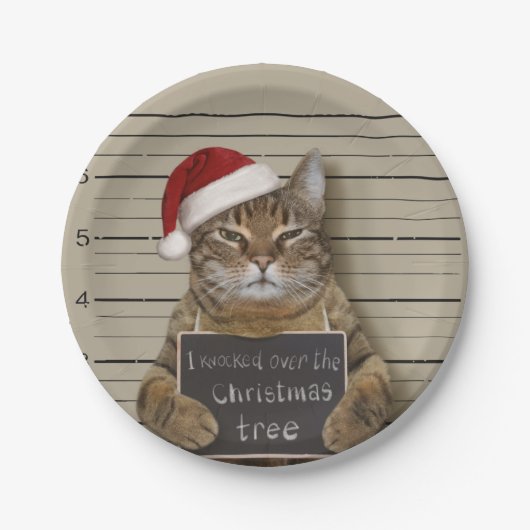 Mugshot Cat Christmas Papieren Bordje (Voorkant)