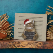 Mugshot Cat Kerstmis Fotoplaat (Zijkant)