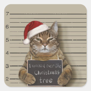 Mugshot Cat Kerstmis Vierkante Sticker