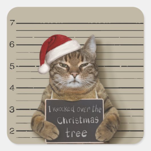 Mugshot Cat Kerstmis Vierkante Sticker (Voorkant)