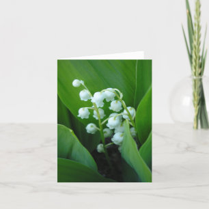 Muguet Kaart