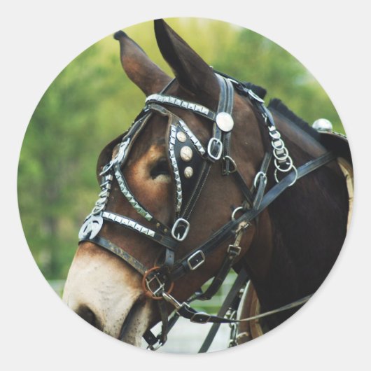 muildagen ronde sticker (Voorkant)