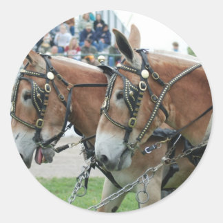 muildagen ronde sticker