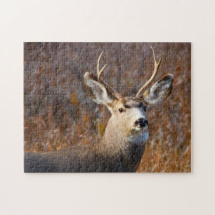 Muildier. Legpuzzel
