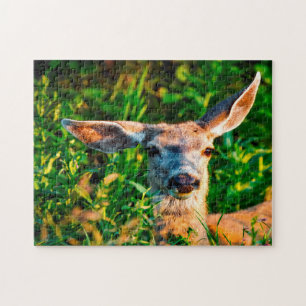 Muildier Wyoming . Legpuzzel