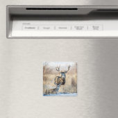 Muildierbok en -geit magneet (Insitu (Vaatwasser))