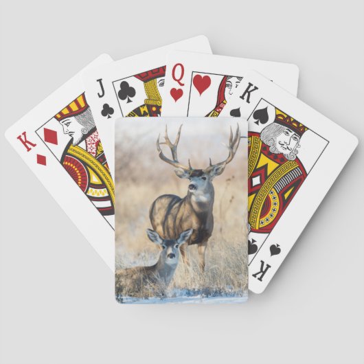 Muildierbok en -geit speelkaarten (Achterkant)
