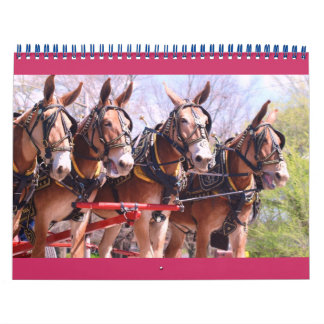 muildieren en ezels kalender