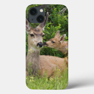 Muildierhinde met jong iPhone 13 hoesje