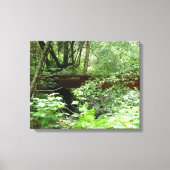 Muir Bossen Bridge I Canvas Afdruk (Voorkant)