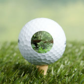 Muir Bossen Bridge I Golfballen (Insitu Shirt)