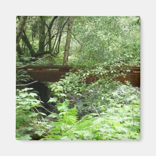 Muir Bossen Bridge I Magneet (Voorkant)