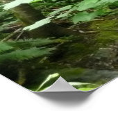 Muir Bossen Bridge I Poster (Hoek)