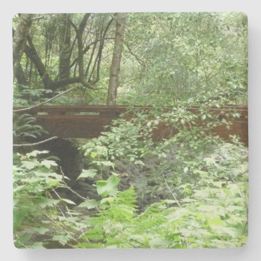 Muir Bossen Bridge I Stenen Onderzetter (Voorkant)