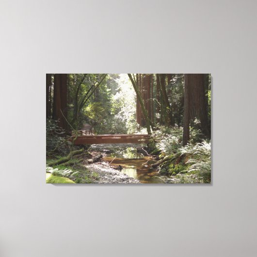 Muir Bossen Bridge II Canvas Afdruk (Voorkant)