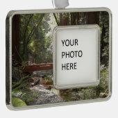 Muir Bossen Bridge II Verzilverd Kader Ornament (Rechts)