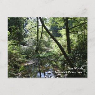 Muir Bossen, Briefkaart