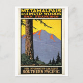  Muir Bossen en Mt Tamalpais  Briefkaart (Voorkant)