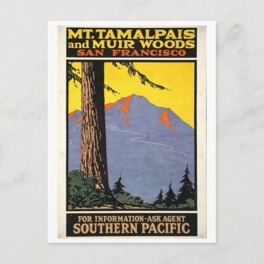  Muir Bossen en Mt Tamalpais  Briefkaart (Voorkant)