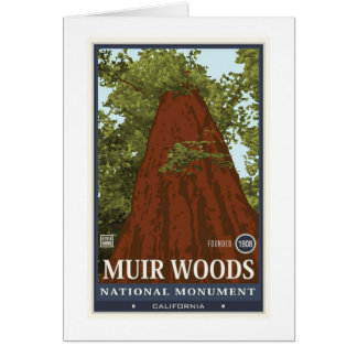 Muir Bossen Nationaal Monument 3
