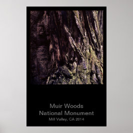 Muir Bossen National Monument Color (Dark) Poster