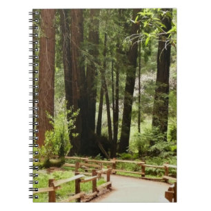 Muir Bossen Path I Natuur Fotografie Notitieboek