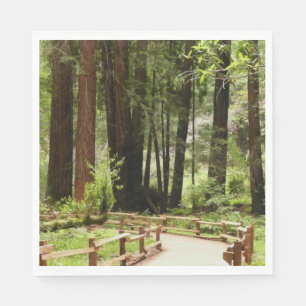 Muir Bossen Path I Natuur Fotografie Servet