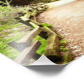 Muir Bossen Path II Natuur Fotografie Foto Afdruk (Hoek)