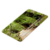 Muir Bossen Path II Natuur Fotografie Magneet (Linkerzijde)