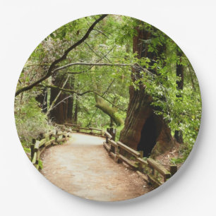 Muir Bossen Path II Natuur Fotografie Papieren Bordje
