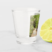 Muir Bossen Path II Natuur Fotografie Shot Glas (Links)