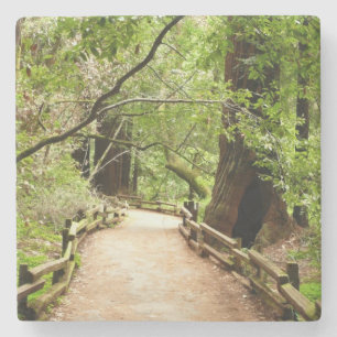 Muir Bossen Path II Natuur Fotografie Stenen Onderzetter