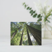 Muir Bossen Post Card Briefkaart (Staand voorkant)