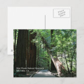 Muir Bossen Post Card Briefkaart (Voorkant / Achterkant)