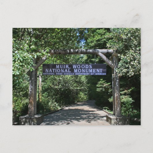 Muir Bossen Post Card Briefkaart (Voorkant)