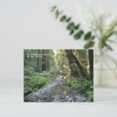 Muir Bossen Post Card Briefkaart (Staand voorkant)