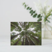 Muir Bossen sky uitzicht Briefkaart (Staand voorkant)